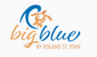 BIG BLUE BY ROLAND ST JOHN